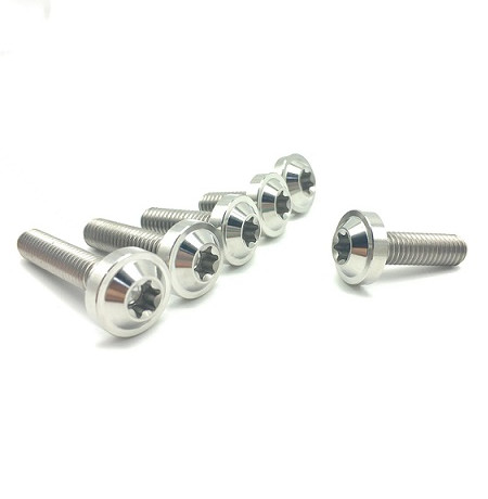 Titanium Torx Screws
